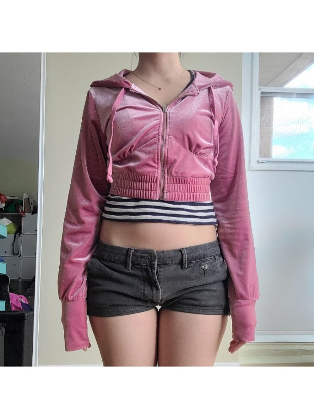 Pink Vintage Coquette Y2K Velour Cropped Zip-up Hoodie (S)